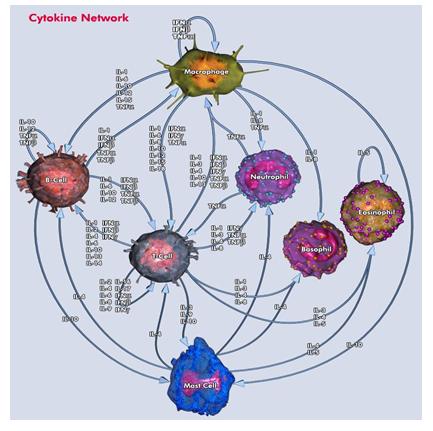 HTRF® 和 AlphaLISA® 技术在细胞因子检测中的应用