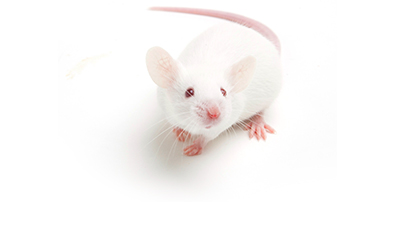 6389718040586122377325664