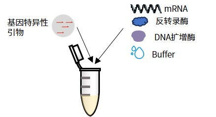 涨知识 | qPCR专场七：认识不同荧光定量PCR方法
