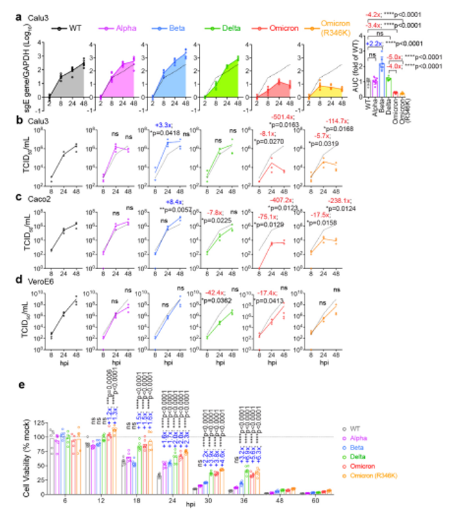 QIAGEN 奥密克戎不可怕！！！——奥密克戎衰减复制和病理研究文献分享