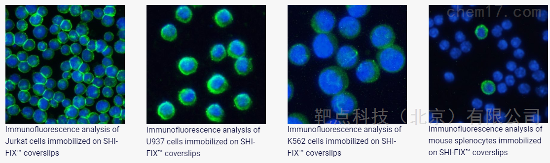 靶点科技携手SHIKHAR带来悬浮细胞免疫荧光痛点解决方案产品SHIFIX现货促销