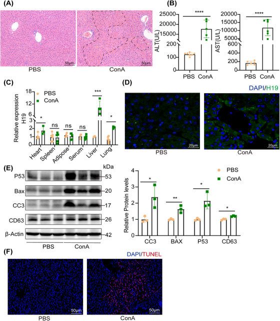 外泌体技术服务