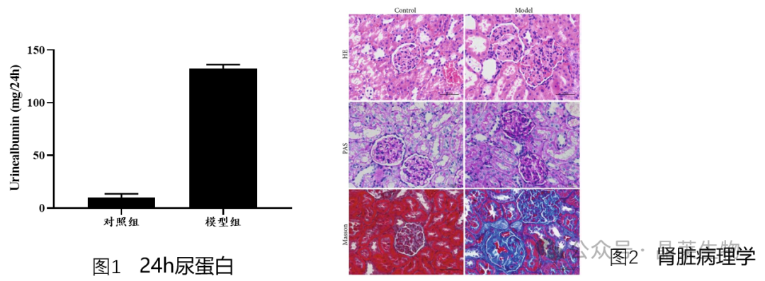 1709541676394690.png 新闻图片6
