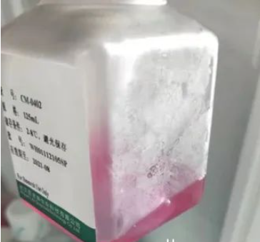 贴壁细胞6大培养难题原因介绍及解决方法