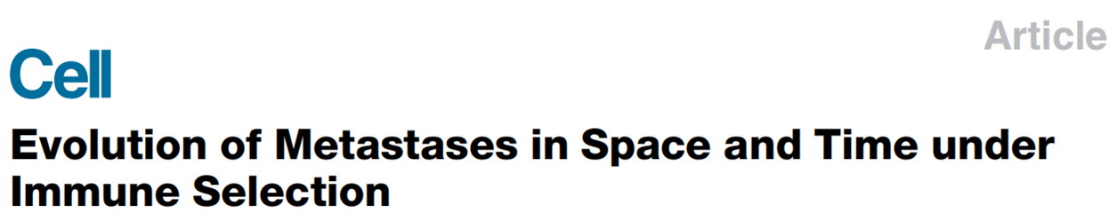 mIHC在结直肠癌转移机制方面的应用