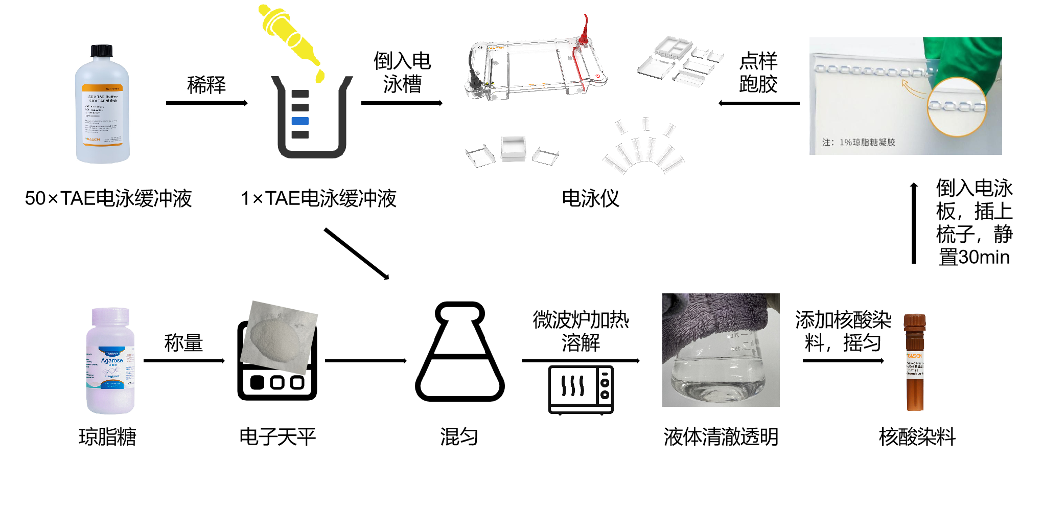 干货分享 | 一套搞定，小翌助您跑出完美的电泳图！