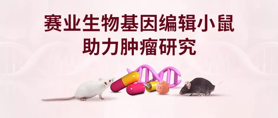 客户文献集锦 | 赛业生物基因编辑小鼠助力肿瘤研究