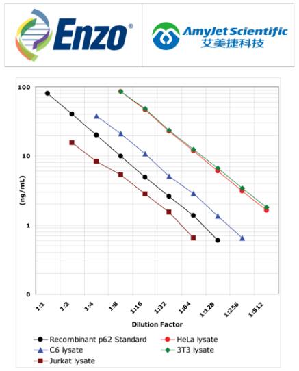 Enzo Life Sciences 艾美捷p62 ELISA 试剂盒说明书 Enzo Life Sciences 艾美捷p62 ELISA 试剂盒说明书