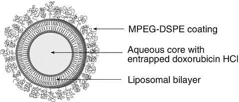 胰腺癌治疗的新研究分享
