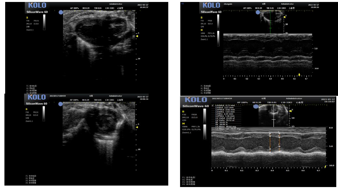 小动物成像检测有哪些?可以对应哪些指标?