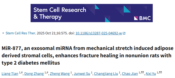 外泌体的“超能力”：机械拉伸改造后，脂肪源性干细胞外泌体加速糖尿病骨折骨再生！