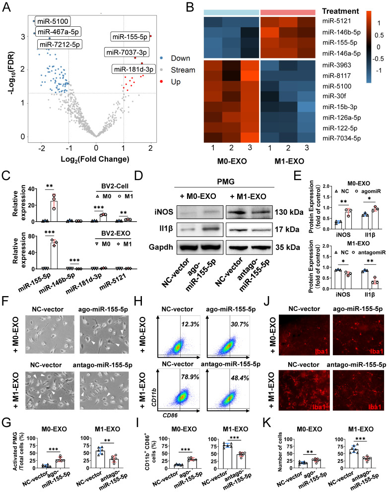 外泌体技术服务 外泌体技术服务