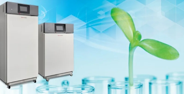 实验室的“冷热”担当 | 赛默飞Thermo Scientific™低温培养箱