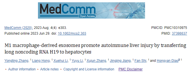 【MedComm】 9.9分，M1巨噬细胞来源外泌体通过向肝细胞转移LncRNA H19促进自身免疫性肝损伤