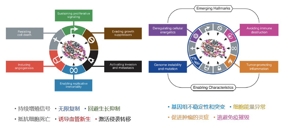 肿瘤标志性事件相关信号通路及关键靶点