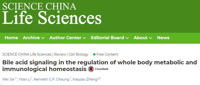 硬核综述 | 贾伟/郑晓皎教授团队揭秘胆汁酸在全身代谢和免疫稳态中的调控作用