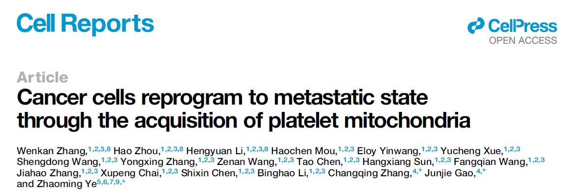 客户案例 | Cell Reports：从临床问题出发，揭示血小板线粒体在骨肉瘤转移过程中的作用