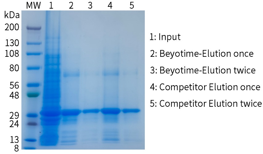 1小时His标签蛋白纯化磁珠试剂盒三重上新！