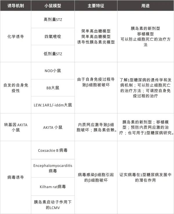 狙击糖尿病？这些大小鼠模型有大作用