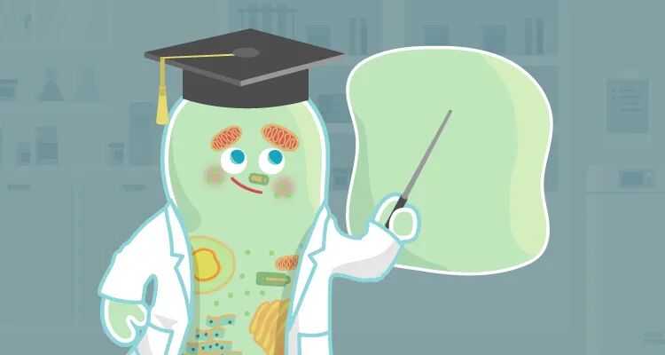 希尔博士讲堂 | 细胞污染大展观 - 支原体&黑胶虫篇