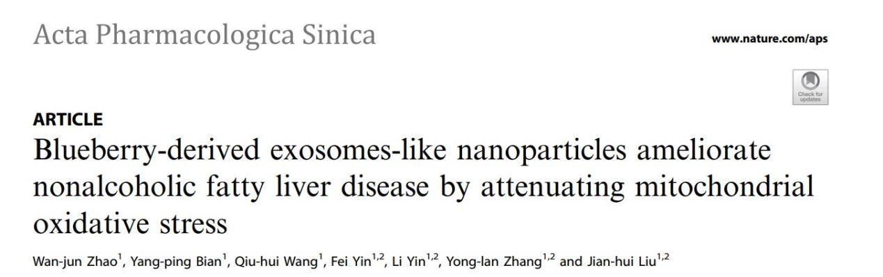 【APS】你知道蓝莓外泌体能治疗脂肪肝吗？