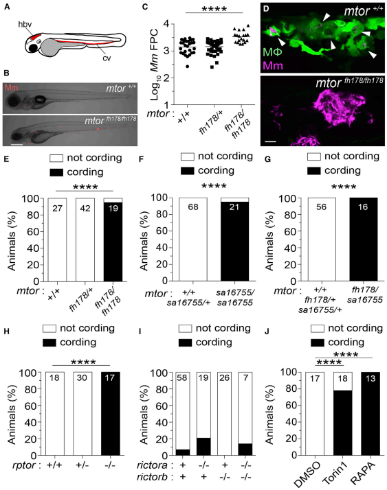1700100451995673.png 企业微信截图_17000305382549.png
