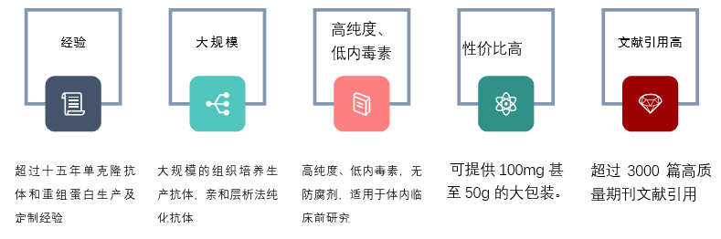 BioXCell——动物体内用抗体金标准，助力肿瘤临床前研究