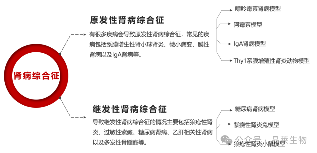 1709541687450231.png 新闻图片7