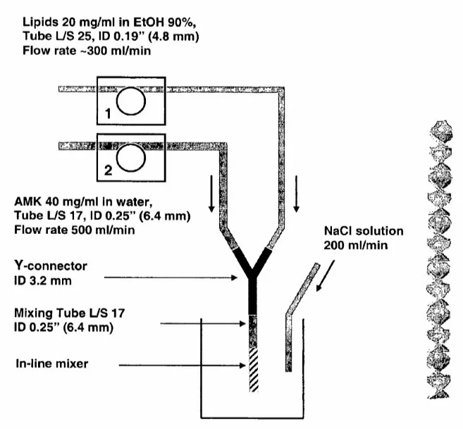 超复杂制剂阿米卡星脂质体吸入悬浮液作用原理及处方工艺介绍-艾伟拓(上海)医药科技有限公司 超复杂制剂阿米卡星脂质体吸入悬浮液作用原理及处方工艺介绍-艾伟拓(上海)医药科技有限公司