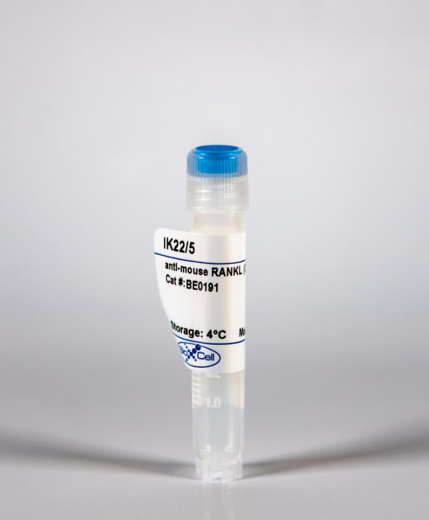 BioXcell特色产品推荐之：InVivoMAb anti-mouse RANKL (CD254)