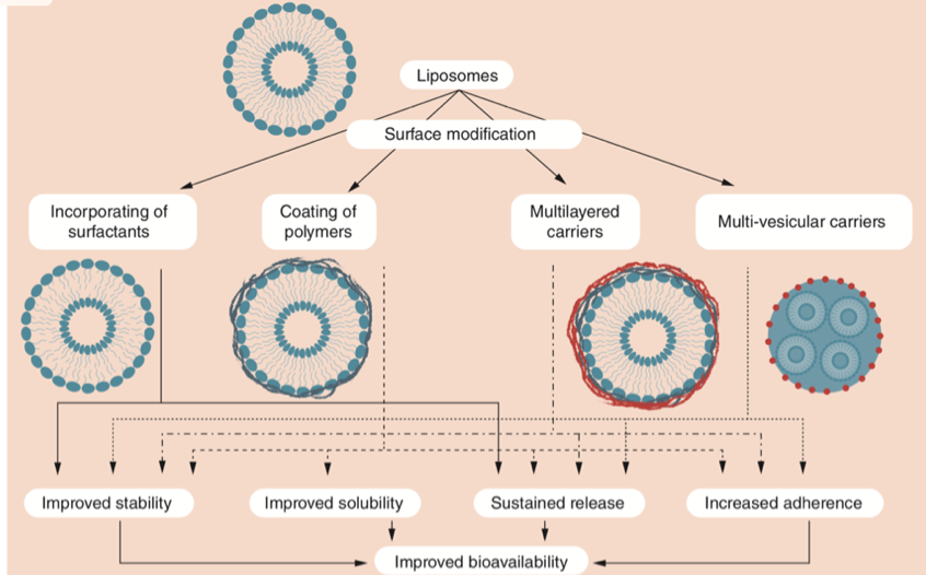 纳米技术 | 脂质体与口腔*