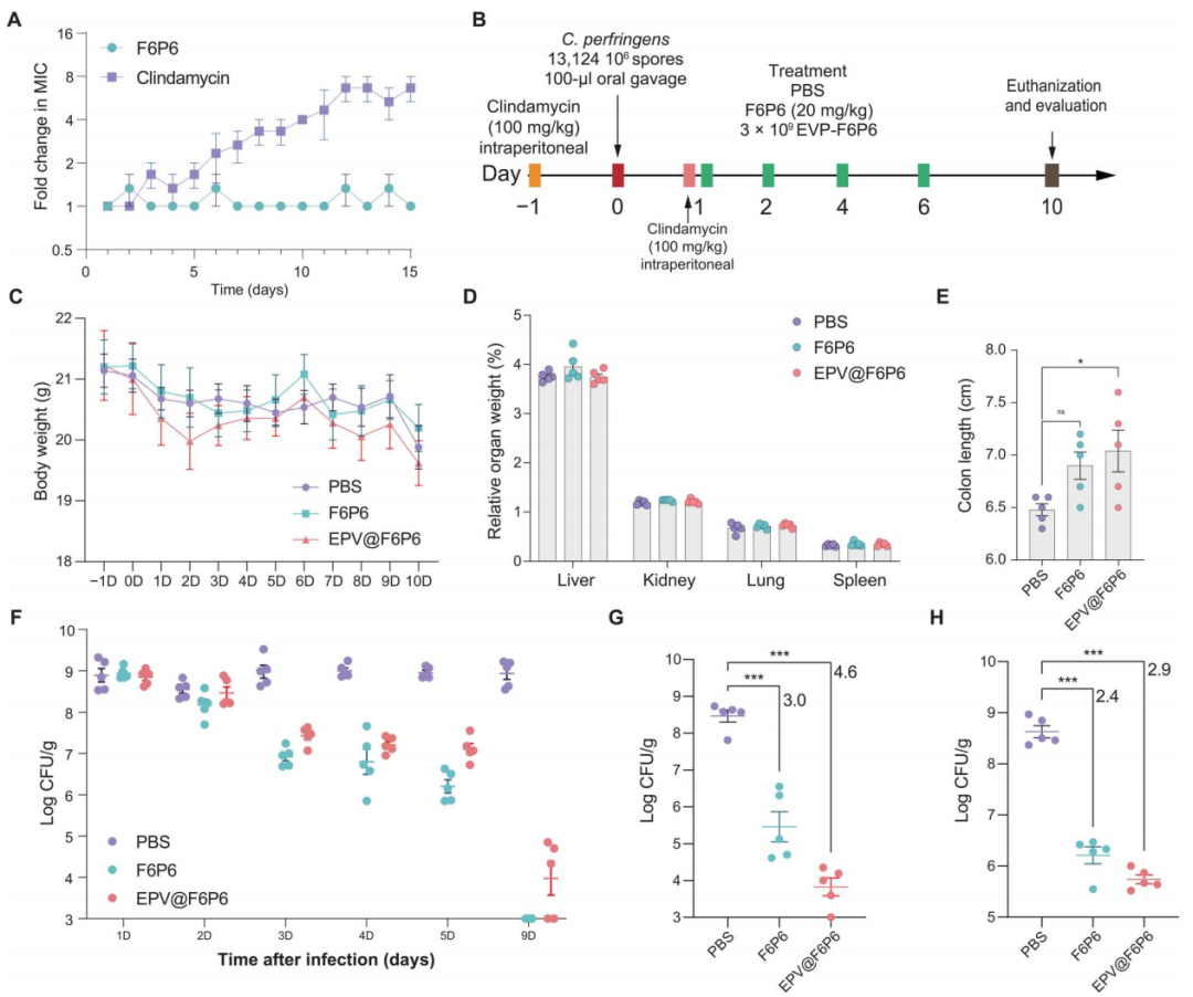 Science子刊：肠道靶向纳米颗粒可针对产气荚膜梭菌感染提供特异性靶向抗菌肽