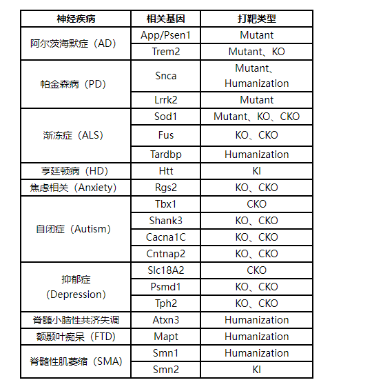 神经系列专题｜从小鼠身上寻找阿尔茨海默症治疗突破口