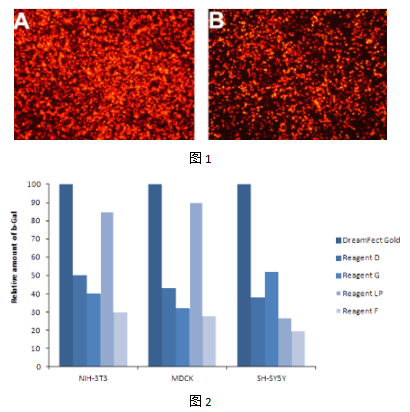 艾美捷DREAMFECT GOLD 500 转染试剂——简单、快速且易用