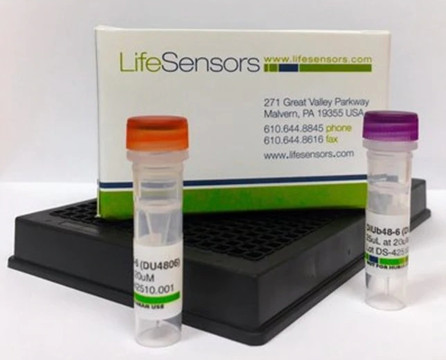 高通量筛选——泛素连接酶E3试剂盒方案 高通量筛选——泛素连接酶E3试剂盒方案