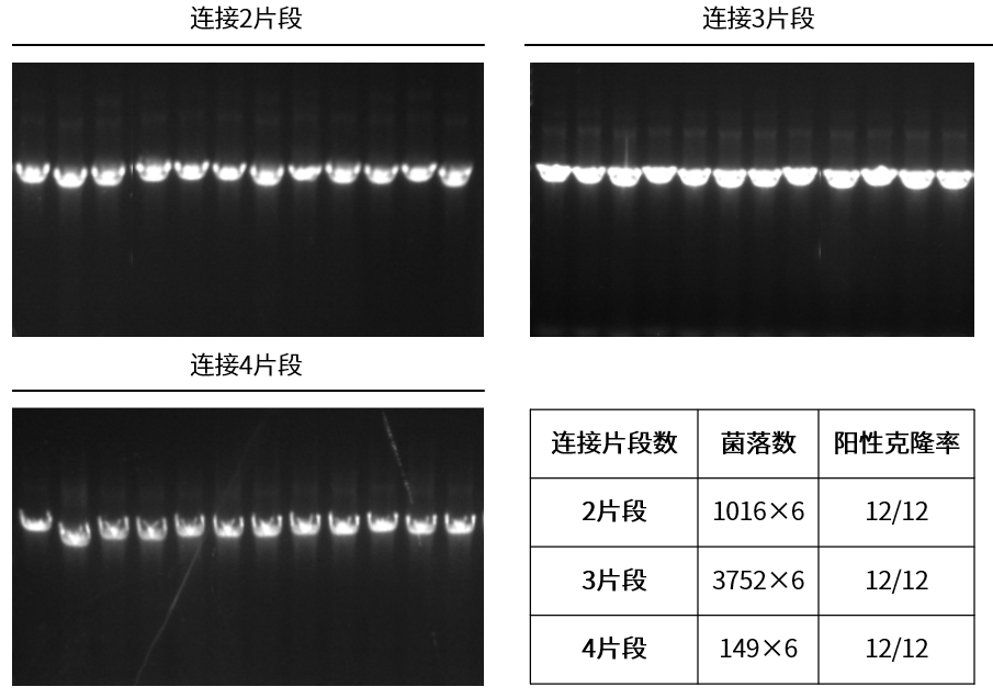 新闻图片3