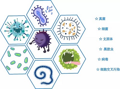 识破各种污染，拯救您的细胞