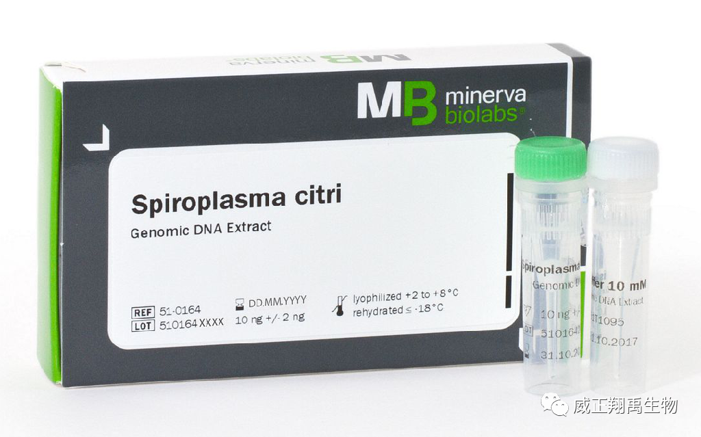 支原体核酸法的特异性验证