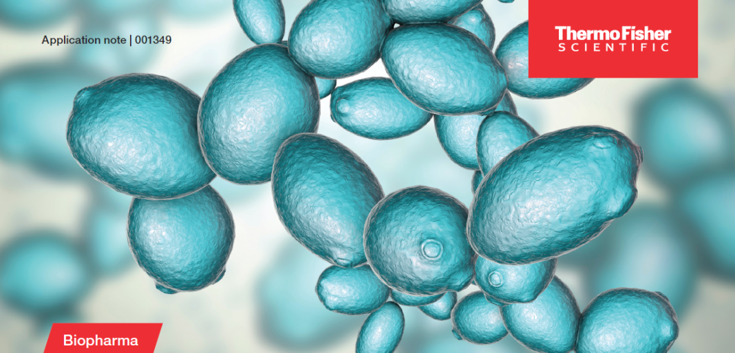 探索细胞元素奥秘|赛默飞单细胞ICP-MS分析新应用