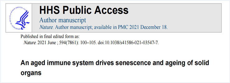 惊喜发现：年轻的免疫细胞可以逆转衰老！