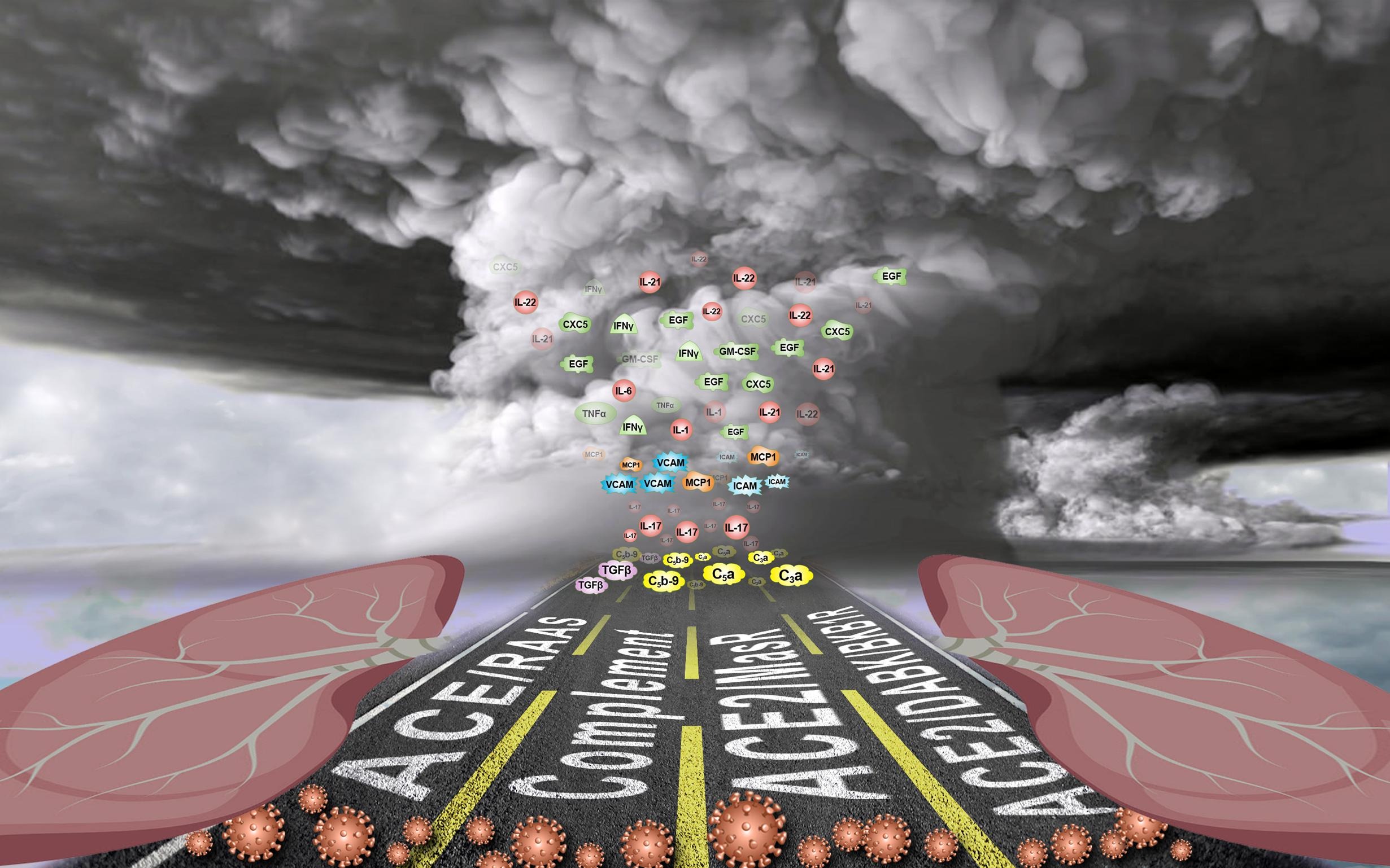 臭名昭著的细胞因子风暴