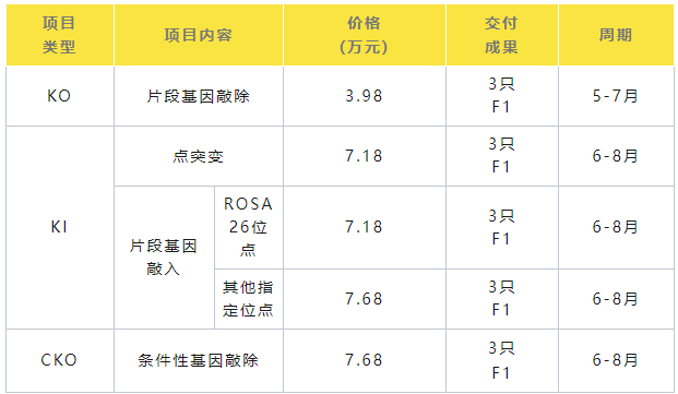 创新药物开发实力派选手——基因编辑大鼠，现在定制更有胚胎冻存赠送