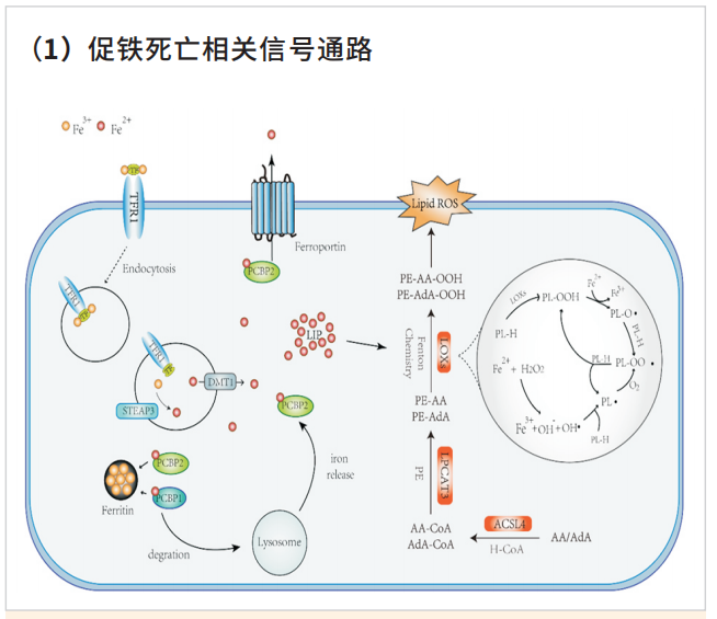 新闻图片3