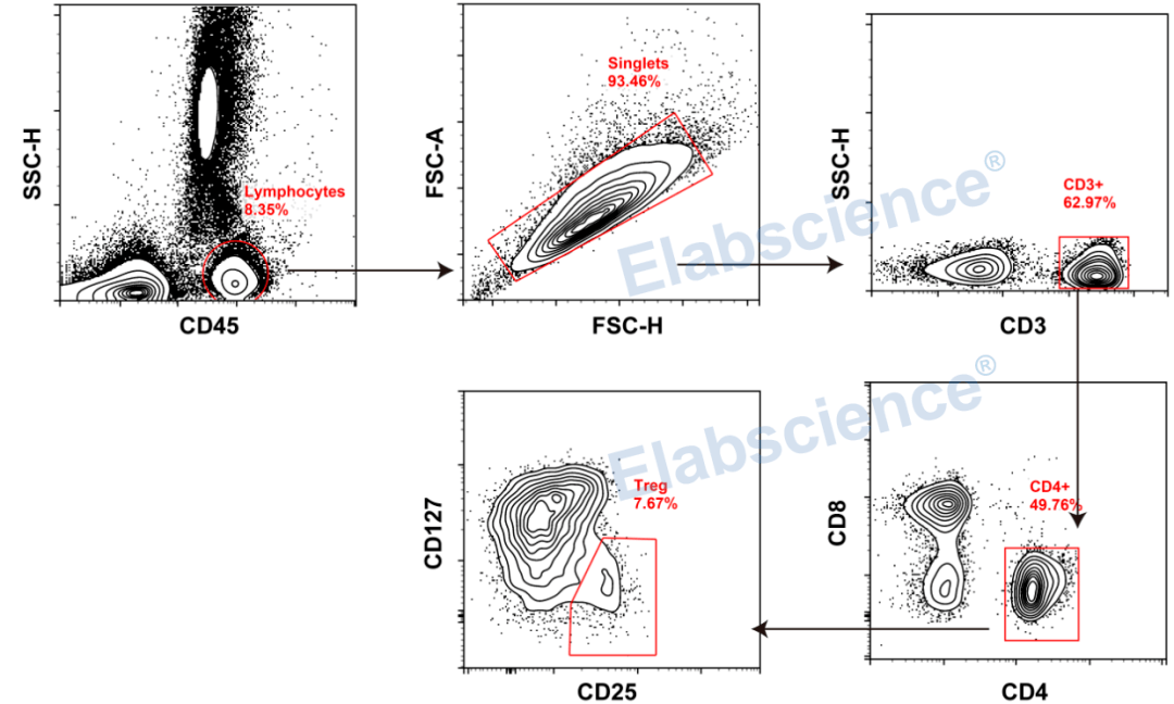 人外周血调节性T细胞鉴定方案 