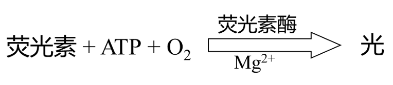 Absin 一种类器官药敏活性检测方法