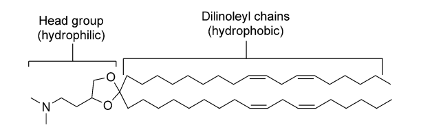 DLin-DMA的衍生发展史