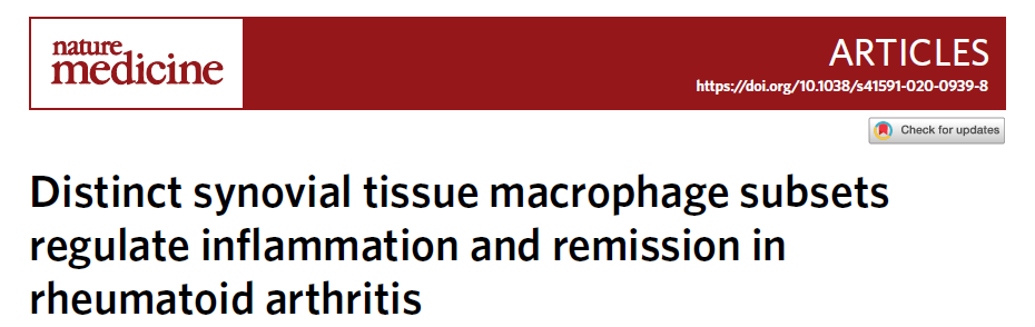 顶刊解读|BD Rhapsody单细胞+MSD多因子助力类风湿关节炎自缓解机制研究
