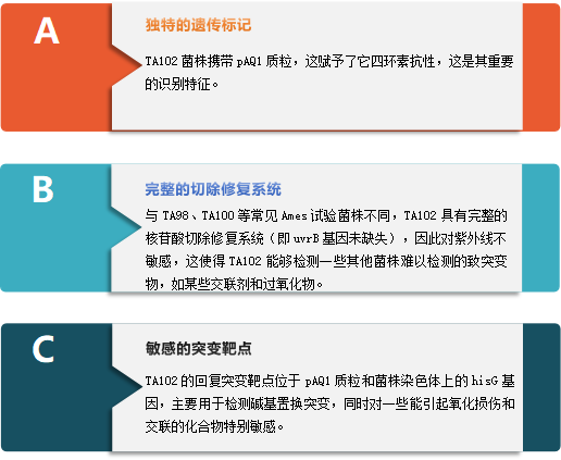 低变 4.png 低变 4.png