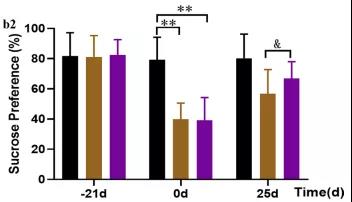  大鼠在神经领域的应用