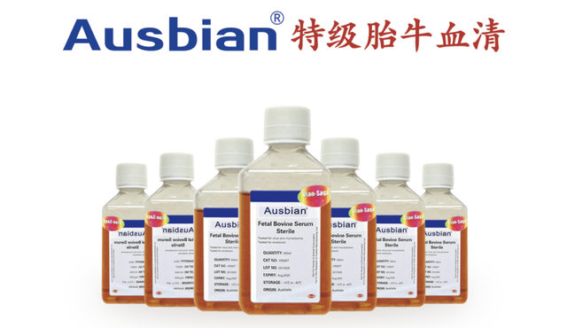 大曝光！细胞消化的三个关键点